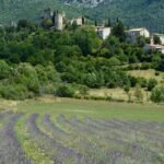 Lire la suite à propos de l’article Saint-Rémy-de-Provence : Optimisez vos investissements avec Les Clefs du Ravinala